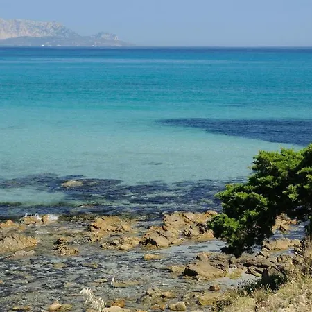 Tatil Evi Miky Tanaunella